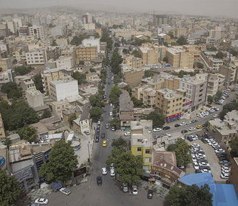 خرید فروش قیمت نهال در کرمانشاه