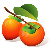 قیمت نهال خرمالو